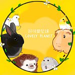 Lovely Planet
