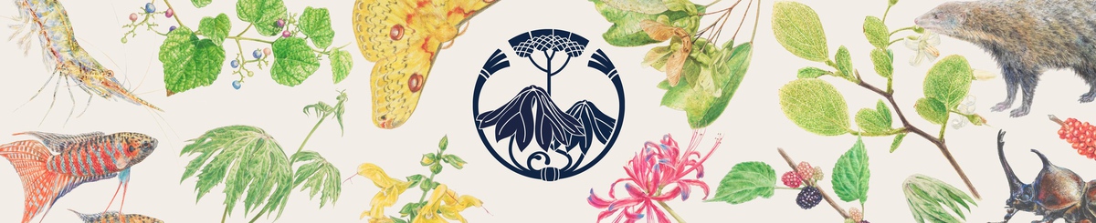 设计师品牌 - 浅山设计