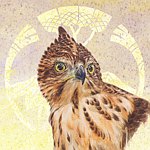 设计师品牌 - 浅山设计