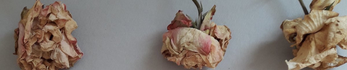 设计师品牌 - Madina_Jewelry