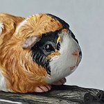 设计师品牌 - MaxiCharming