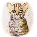 设计师品牌 - 林孟淳插画生活家