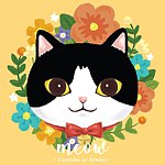 Meow Cat