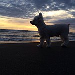 设计师品牌 - 米尔德拉手创设计