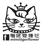 猫咪爱种花