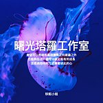 设计师品牌 - 曙光塔罗工作室