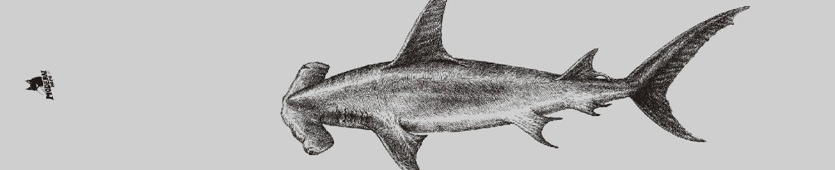 设计师品牌 - Modern more