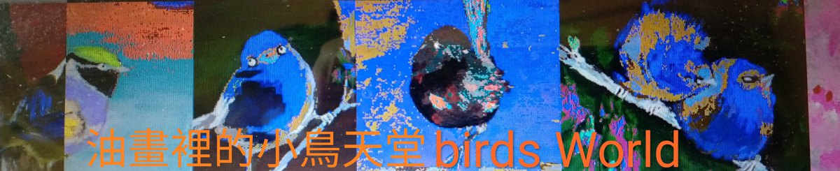 设计师品牌 - The secret of color