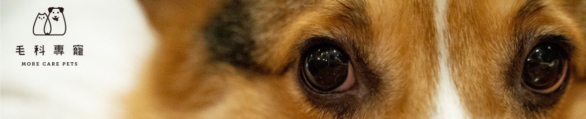 设计师品牌 - 毛科专宠