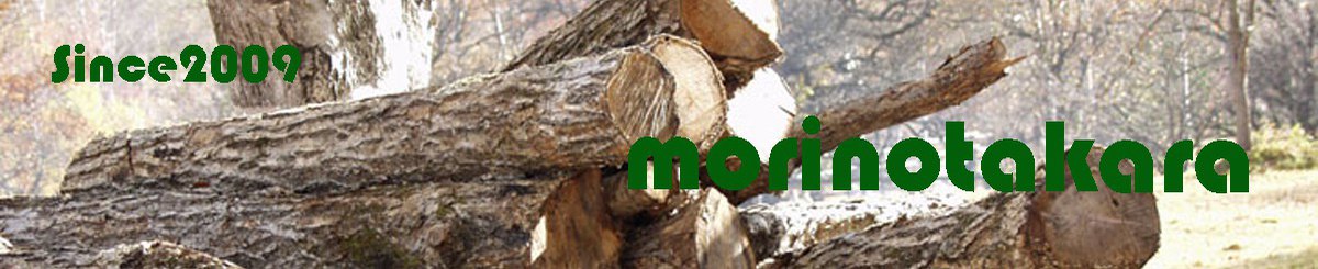 设计师品牌 - 木工房 森の宝