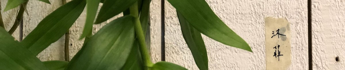 设计师品牌 - 沐菲muffy handmade