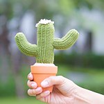 设计师品牌 - naradolly