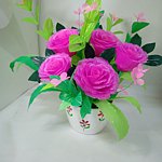 设计师品牌 - nasa2465