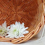 设计师品牌 - WickerBasketsNataSava