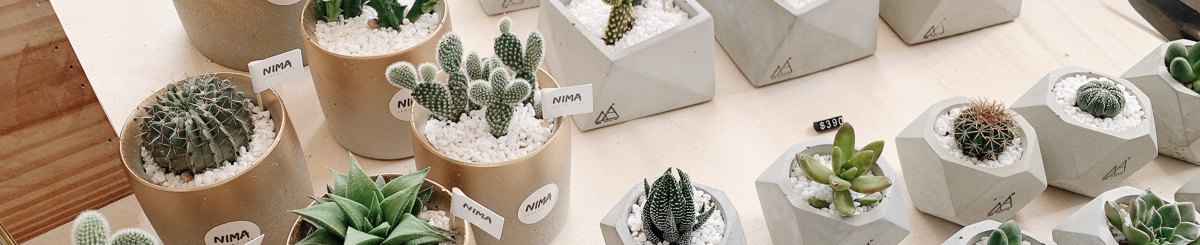 Nima Cement Lab