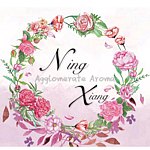 凝香小铺 NingXiang