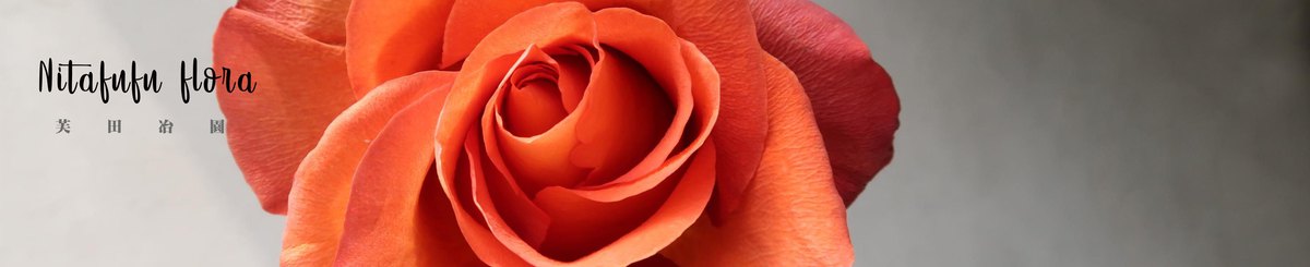 设计师品牌 - 芙田冶园