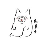 设计师品牌 - 扁鼻子