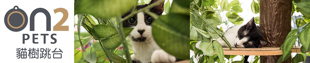 设计师品牌 - On2Pets猫树跳台