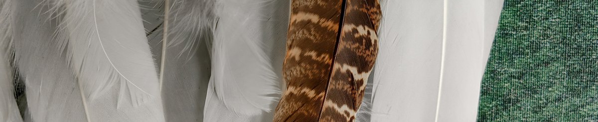 设计师品牌 - Pavetra