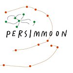 王柿子persimmoon