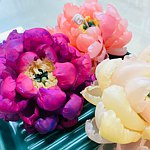 设计师品牌 - 品澄皂工坊