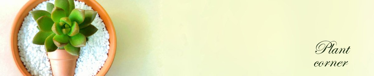 设计师品牌 - 植角工作室