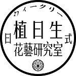 设计师品牌 - 植日生 Plants Dailyer 日式花艺研究室