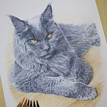 设计师品牌 - 佑子画一画|手绘客制|宠物肖像|色铅笔