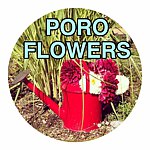 设计师品牌 - poroflowers