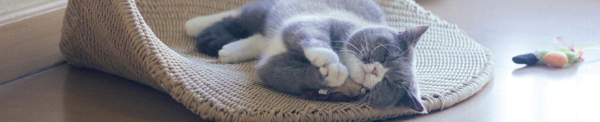 设计师品牌 - purru