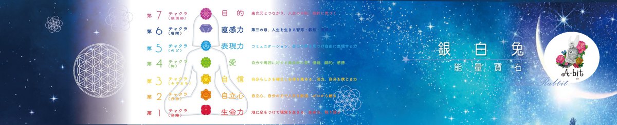 银白兔手作