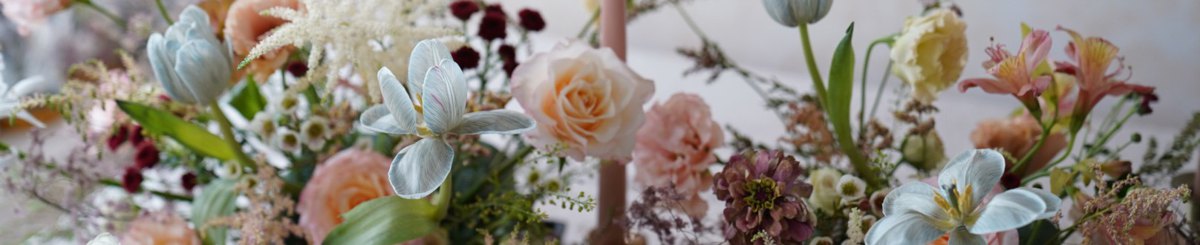 Resana flower