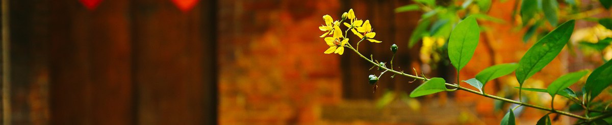 设计师品牌 - 稻舍