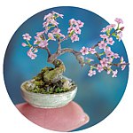 Rina Vellichor Miniatures