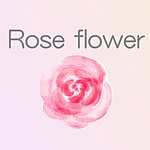 设计师品牌 - Rose flower