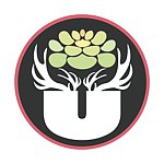 设计师品牌 - 肉Yu 铝线植物艺术手作