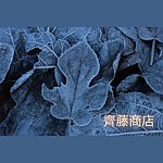 设计师品牌 - saito-original