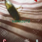 sanozu12