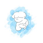 设计师品牌 - sara