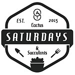 设计师品牌 - 星期六多肉植栽