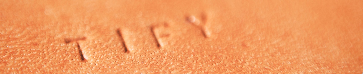 设计师品牌 - Tify皮革