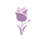睡美人.真花不凋馆Scifleur.E