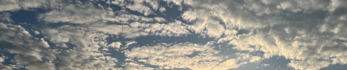 设计师品牌 - Sea witch海的女巫魔法店