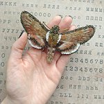 设计师品牌 - Shalamanna