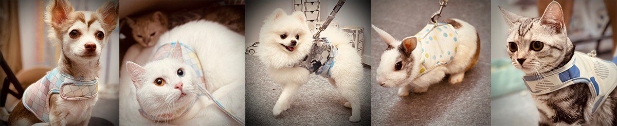 SHAPUSHAPU 小步飞行犬猫衣物制作所