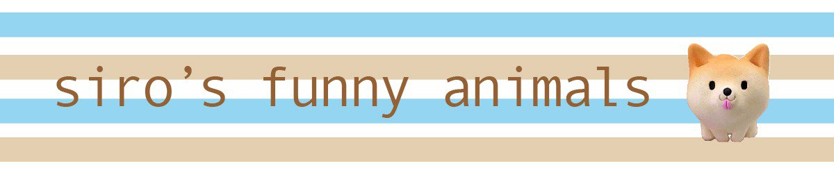Sirosfunnyanimals
