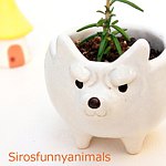 sirosfunnyanimals