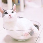 设计师品牌 - 小咖泡芙 Small Puff