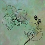 设计师品牌 - Orchid ceramic Shop